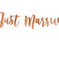 Banner "Just married" rosegold