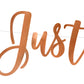 Banner "Just married" rosegold