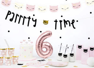 Banner Katze "Parrrty Time"